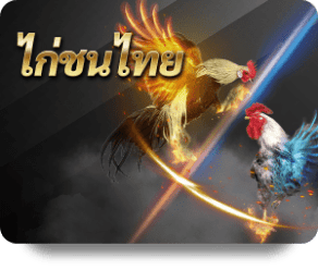 UFAXVIP image of provider chicken-fight